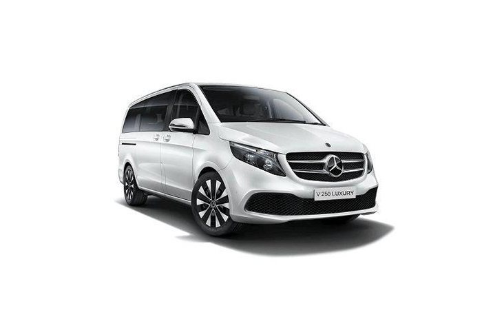 Mercedes V250 Luxury và V250 AMG